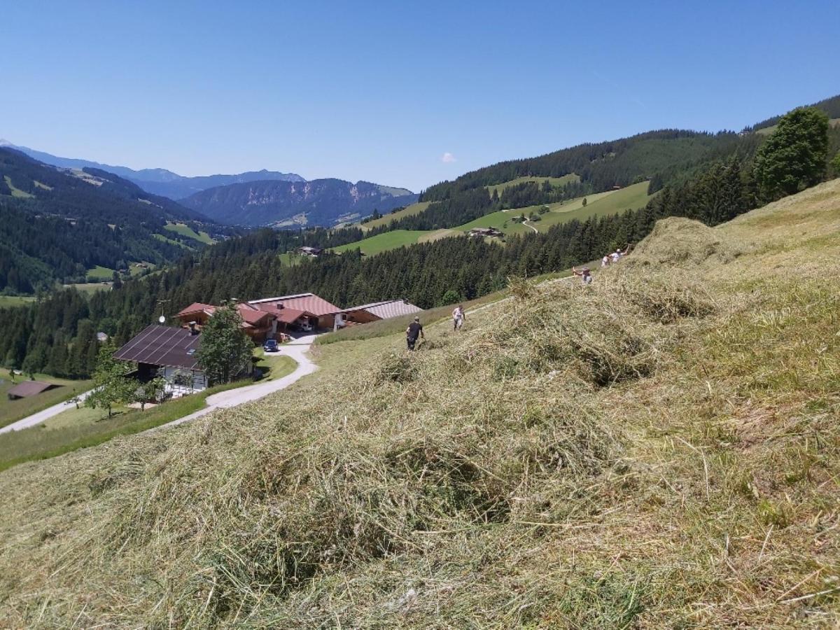 Praedastenhof Auffach Luaran gambar