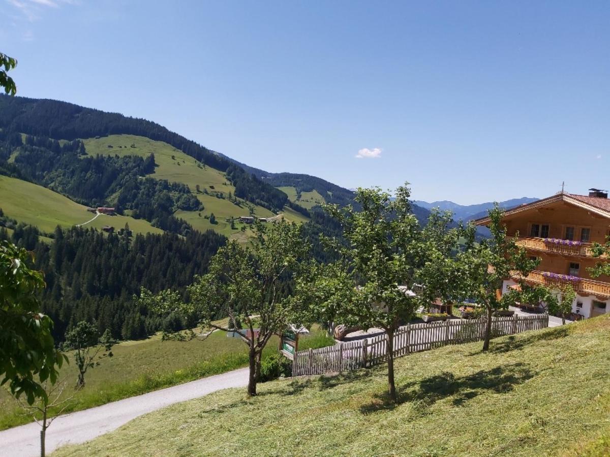 Praedastenhof Auffach Luaran gambar