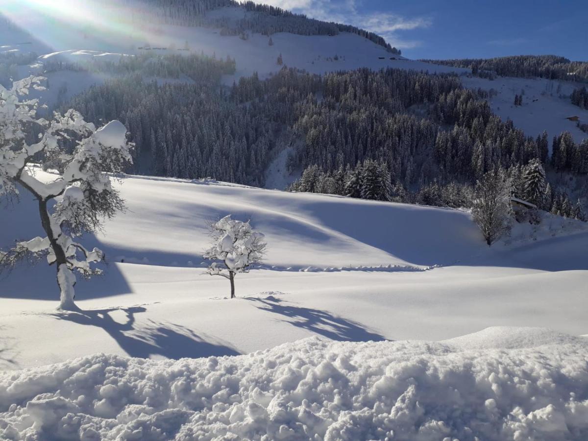 Praedastenhof Auffach Luaran gambar